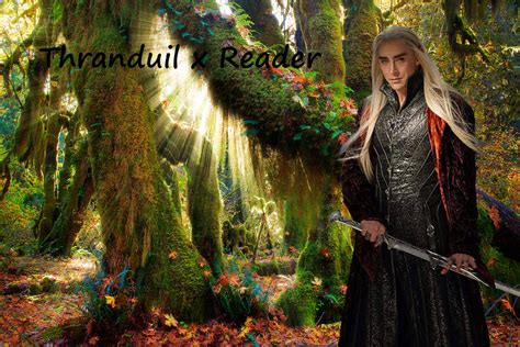 thranduil x reader